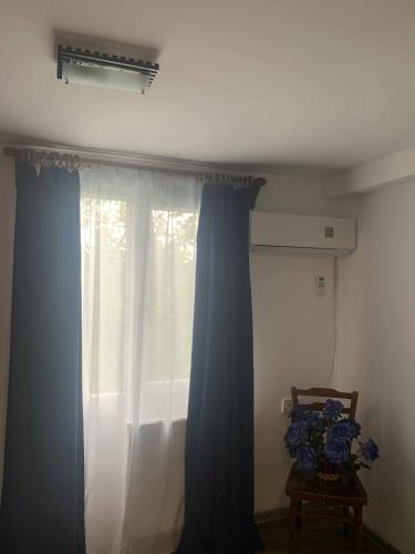a window with blue curtains in a room at AIA Apartment in Kutaisi