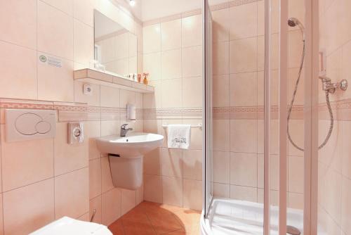 a bathroom with a shower and a sink and a toilet at Boutique Hotel Tanzberg in Mikulov