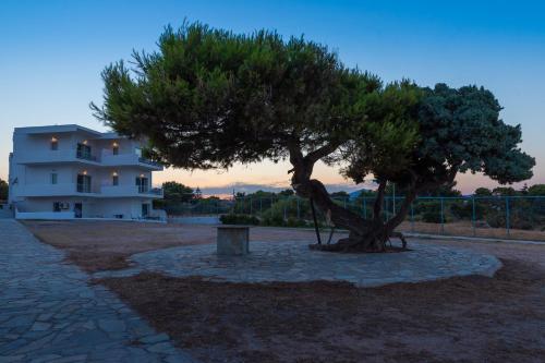 a tree in front of a house with a building at Euphoria Blue studio apartments in Artemida