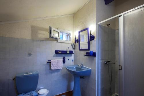 La salle de bains est pourvue de toilettes bleues et d'un lavabo. dans l'établissement Chambres d'hôtes Noailles, à Puisseguin