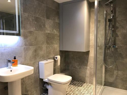 a bathroom with a toilet and a sink and a shower at Bush House Accommodation - The Courthouse Apartment in Bushmills