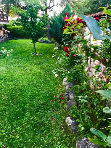 a garden with red roses and a stone wall at Къща за гости Александра in Dobrinishte