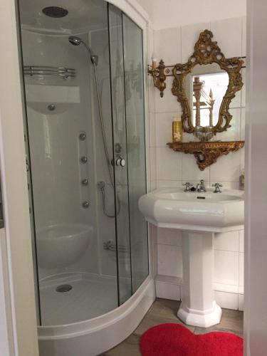 a bathroom with a shower and a sink at Königreich Romkerhall in Schulenberg im Oberharz