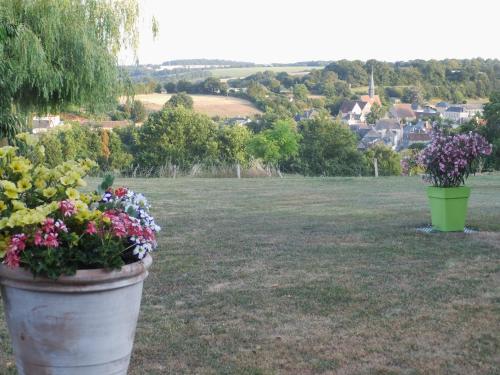 two large pots of flowers in a field at Chambre d'hôte du HOUSSAY à VALENNES 72320 in Valennes