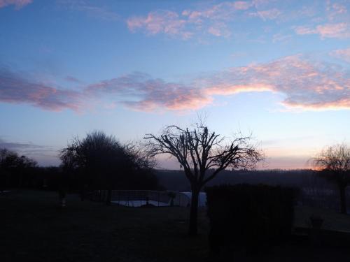 a tree in a field with a sunset in the background at Chambre d'hôte du HOUSSAY à VALENNES 72320 in Valennes