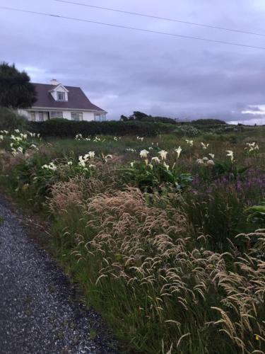 Gallery image of Dal Riada B&B in Gweedore