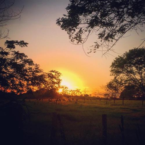 a sunset in a field with trees and a fence at Naturalmente Boutique Bungalows y Cocina Mediterránea in Las Lajas