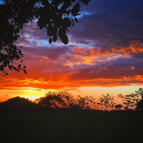 a sunset over a field with trees in the foreground at Naturalmente Boutique Bungalows y Cocina Mediterránea in Las Lajas
