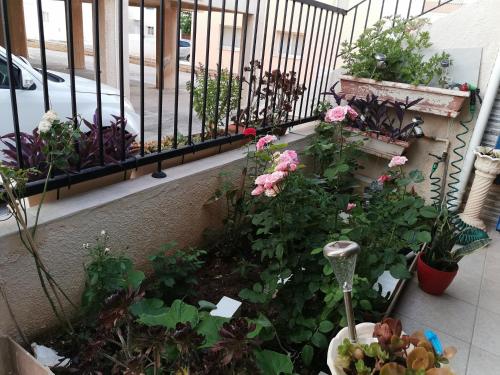 a balcony with a bunch of plants and flowers at Siamese Villa in Paralimni