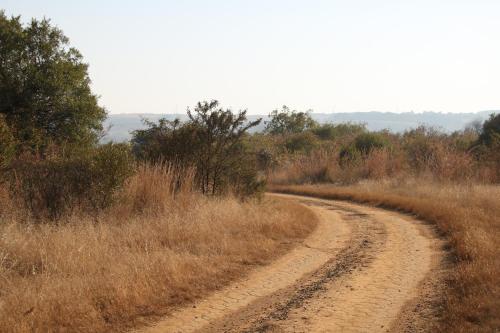a dirt road in the middle of a field at Donkerhoek Country Living in Avondzon