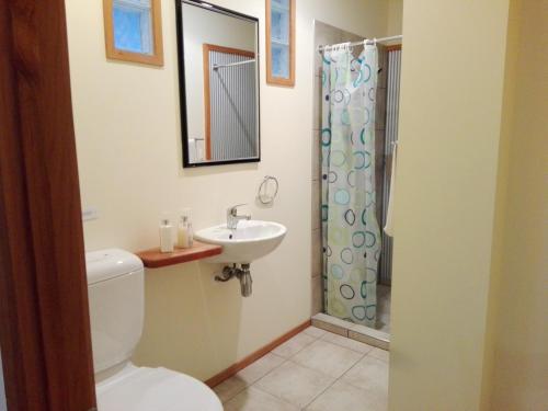 a bathroom with a toilet and a sink and a shower at Taranaki Experience in New Plymouth