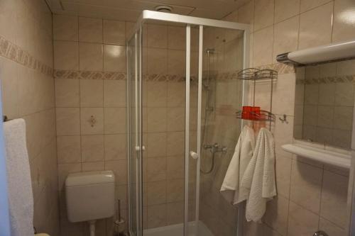 La salle de bains est pourvue d'une douche avec une porte en verre. dans l'établissement Gästehaus Jedinger, à Sankt Georgen im Attergau