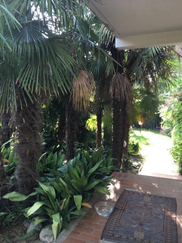 a garden with palm trees and a rug on a patio at Appartamento Soraya in Lignano Sabbiadoro