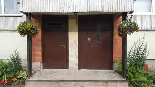 a brown door of a brick building with two plants at Apartamenti Danna in Lēdmane