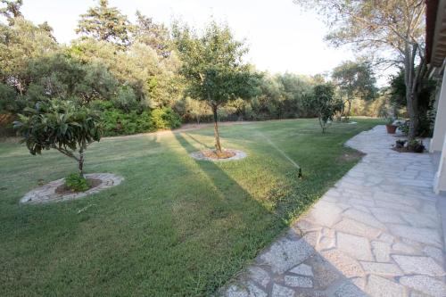 a garden with a small tree in the grass at Su Suberju in San Teodoro
