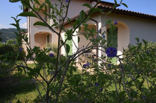 a white house with blue flowers in front of it at Antico Principato di Seborga in Vallebona