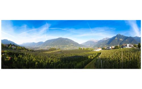 vista su una valle con alberi e montagne di Garni Hotel Walburg a Tirolo
