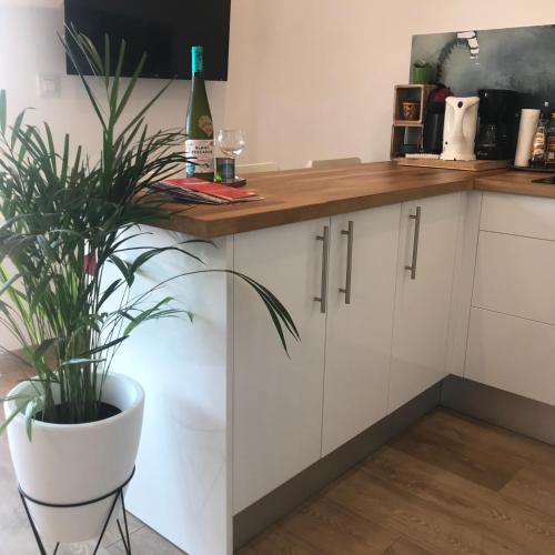 a kitchen with a potted plant sitting next to a counter at 22B puigmal D in Empuriabrava