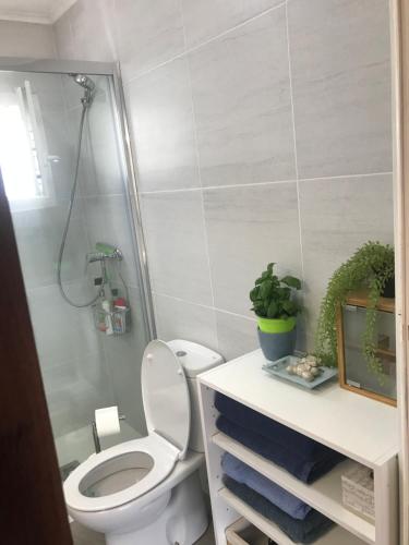 a bathroom with a toilet and a shower at 22B puigmal D in Empuriabrava