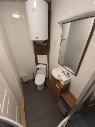 ein Badezimmer mit einem WC, einem Waschbecken und einem Spiegel in der Unterkunft Old Town Apartment in Valga