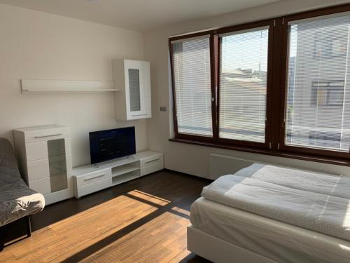 1 dormitorio con 1 cama y TV de pantalla plana en Residence Nad Vltavou, en Praga