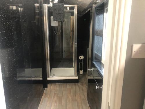 ブラックプールにあるBaxter Holiday Apartmentsのバスルーム(ガラスドア付きのシャワー付)