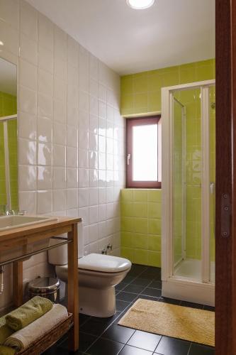 a bathroom with a toilet and a sink and a shower at Casa De Janeiro in Janeiro de Cima