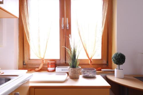 a kitchen with two windows and two potted plants on a counter at Iva City Center in Belgrade