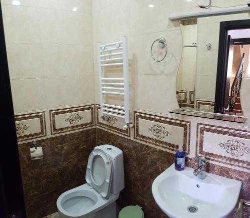 La salle de bains est pourvue de toilettes et d'un lavabo. dans l'établissement Kazbek view guest house, à Kazbegi