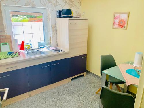 eine Küche mit einem Waschbecken, einem Tisch und einem Fenster in der Unterkunft Idyllische und ruhig gelegene 1ZKB Wohnung in Ludwigshafen am Rhein in Ludwigshafen am Rhein