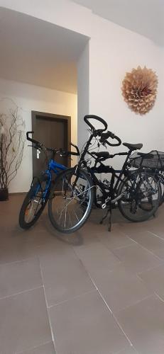two bikes parked next to each other in a room at Apartmány Vila Singles in Litoměřice