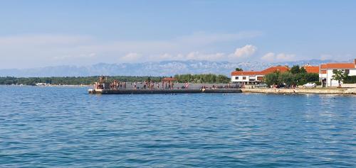 a group of people standing on a dock in the water at Sunny Apartments in Zaton