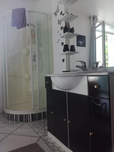 une salle de bain avec un lavabo et une douche dans l'établissement agnës, à Limoux