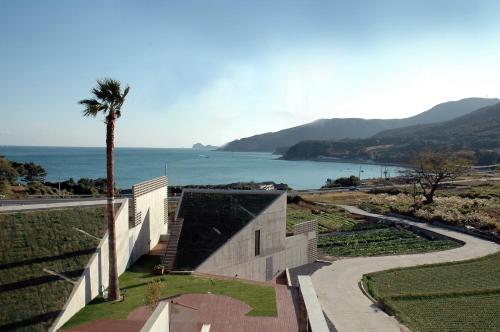 a building with a palm tree and a road at Tropical Dream Spa Resort in Geoje 