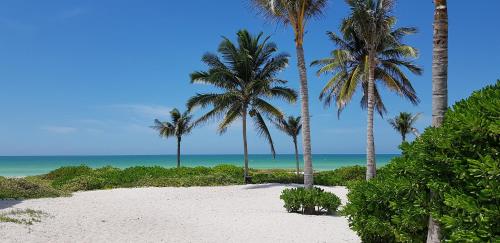 a white beach with palm trees and the ocean at Casa Cuyo Hotel in El Cuyo