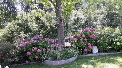 a garden with pink flowers and a tree at Haus Binder in Ried im Zillertal