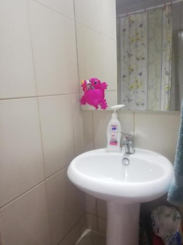 ein Badezimmer mit einem Waschbecken und einer Flasche Seife in der Unterkunft UNA HABITACIÓN PRIVADA con BAÑO PRIVADO en CENTRO HISTÓRICO in Santiago