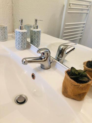 La salle de bains est pourvue d'un lavabo avec un robinet et une plante. dans l'établissement Superbe appartement 3 étoiles Ajaccio début Sanguinaires, à Ajaccio