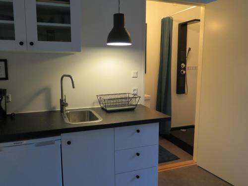 a kitchen with a sink and a counter top at Ferieidyl in Kettinge