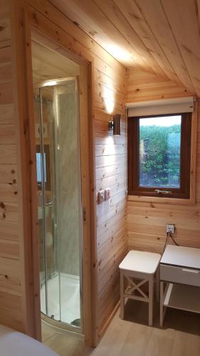 a sauna with a glass shower in a wooden cabin at Geraghtys Farmyard Pods in Mayo