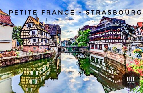 a picture of a river in a city with buildings at LIFE CATHEDRALE City-Center Place Gutenberg in Strasbourg