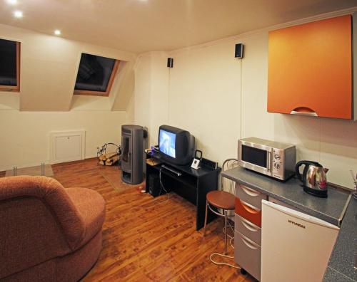 een woonkamer met een bank, een magnetron en een tv bij Privat Lucia in Nová Lesná