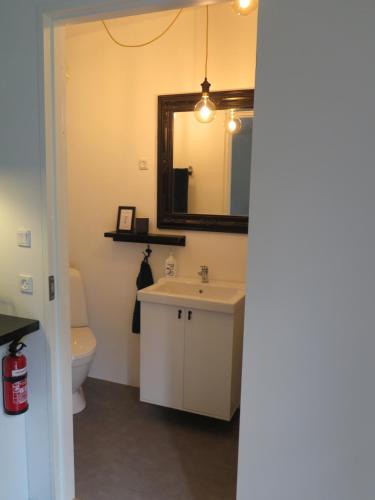 ein Badezimmer mit einem Waschbecken, einem Spiegel und einem WC in der Unterkunft Ferieidyl in Kettinge