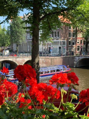 a bunch of red flowers next to a river with boats at Keizershouse Amsterdam in Amsterdam
