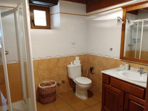 a bathroom with a toilet and a sink at La Casa del Acebal in Solórzano