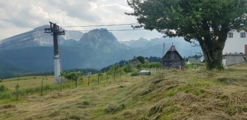 Gallery image of Studio apartment Pitomine in Žabljak