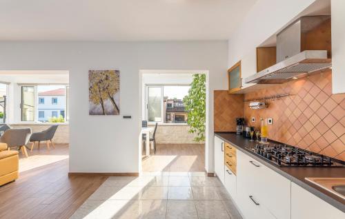 Kuhinja oz. manjša kuhinja v nastanitvi Apartments Vita