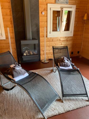 two chairs in a living room with a fireplace at Harlingen Garden Apartment in Midlum