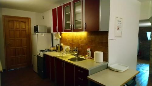 a small kitchen with a sink and a refrigerator at POKOJE GOŚCINNE BETKA in Murzasichle