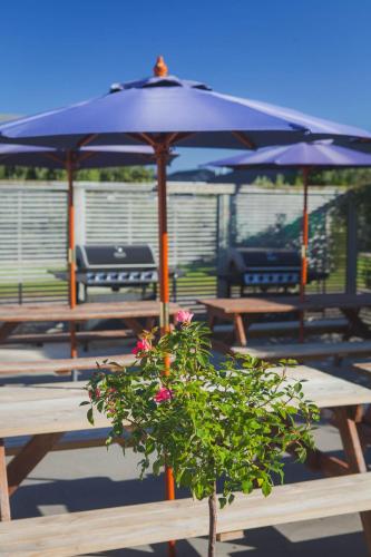 a picnic table with a blue umbrella and a plant at Pacific Park Christian Holiday Camp in Papamoa